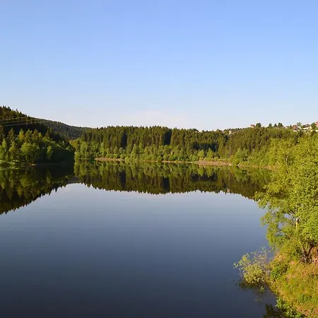 Edelweiss * Schulenberg im Oberharz