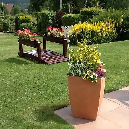 Apartment Edelweiss *