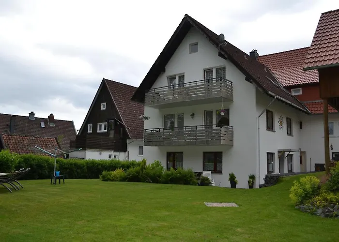 Отель Edelweiss *