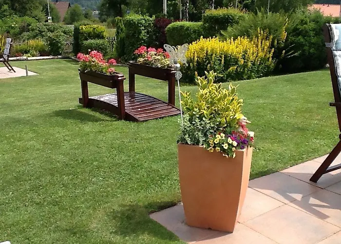 Отель Edelweiss *